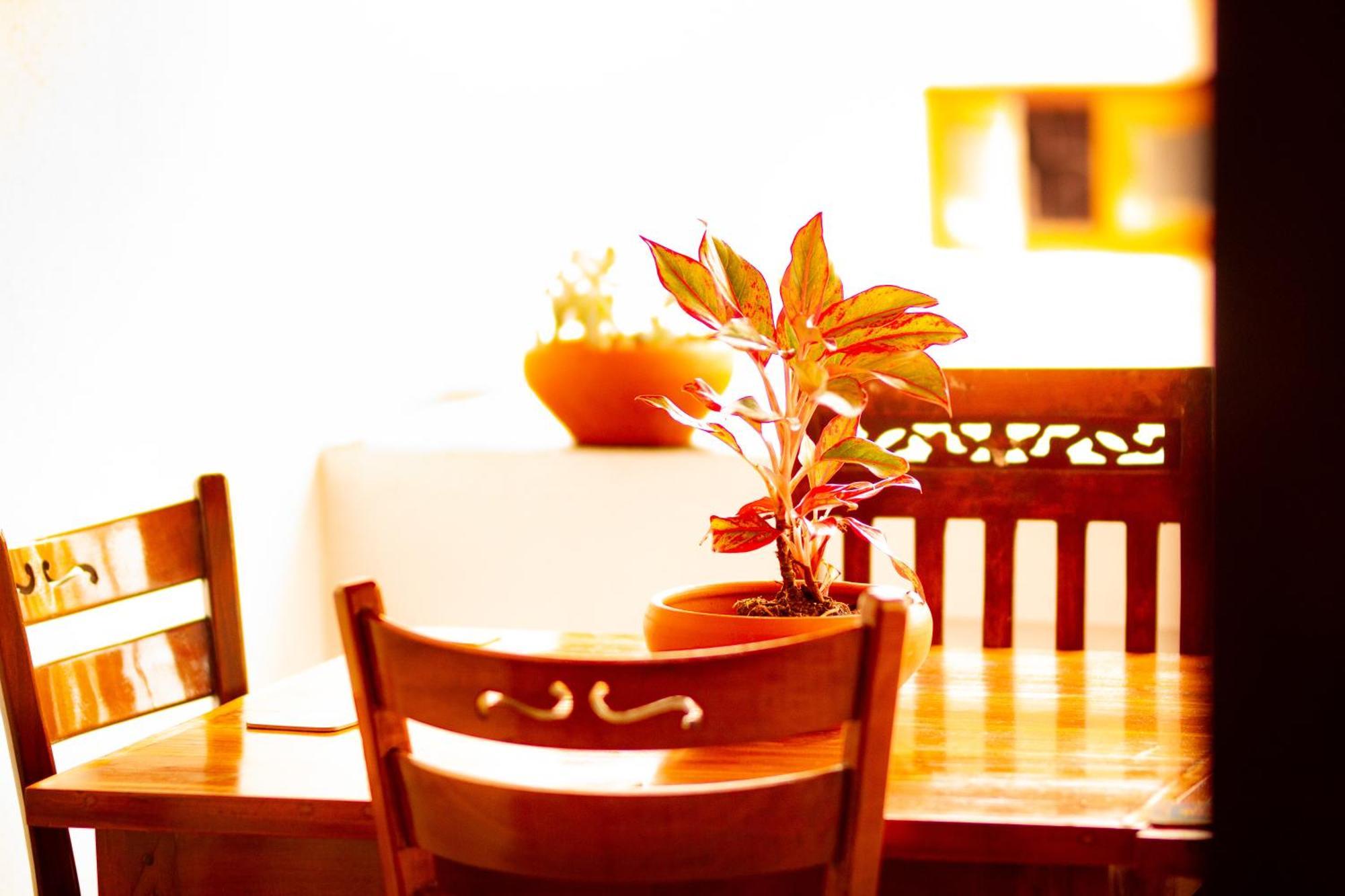 טנגלה Golden Town Hostel מראה חיצוני תמונה