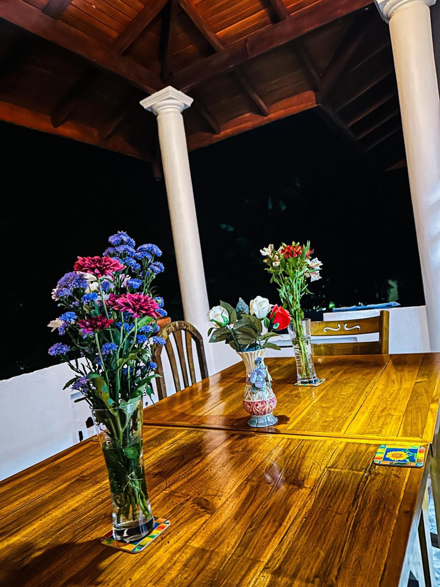 טנגלה Golden Town Hostel מראה חיצוני תמונה